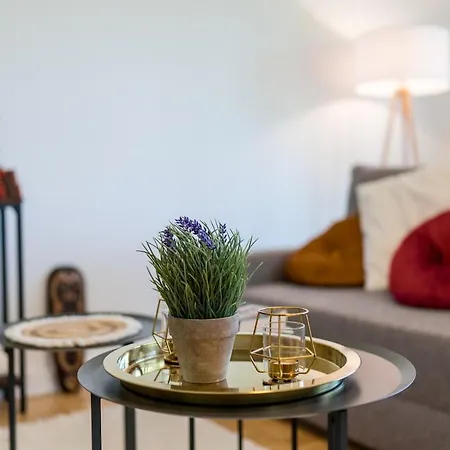 Апартаменты Og2 M 70M2 Grosse 2-Zimmer City Wohnung Naehe Salzburg Фрайлассинг